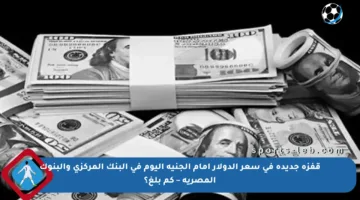قفزة جديدة في سعر الدولار أمام الجنيه اليوم في البنك المركزي والبنوك المصرية – كم بلغ؟